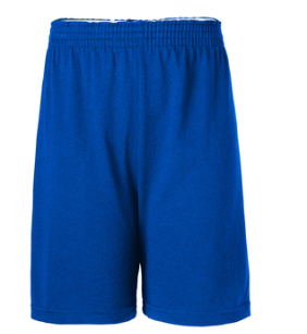 SWSBRoyal Gym ShortsWith School Logo