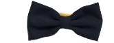 Navy Bow Tie